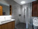 Modern bathroom with shower and toilet