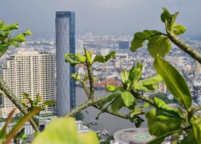 View of a cityscape with buildings and a river, seen through foliage