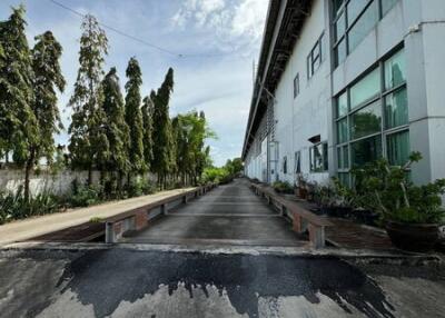 For Rent Samut Prakan Warehouse King Kaew Bang Phli