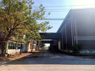 For Rent Samut Sakhon Warehouse Rama 2 Mueang Samut Sakhon