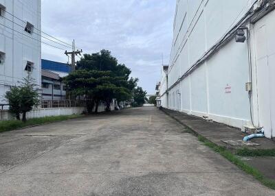 For Rent Samut Prakan Warehouse Theparak Mueang Samut Prakan