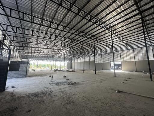 For Rent Pathum Thani Warehouse Lam Luk Ka