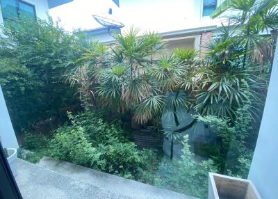 View of garden from inside the house