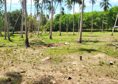 33,437 Sqm. Land listed for ฿ 52,300,000.