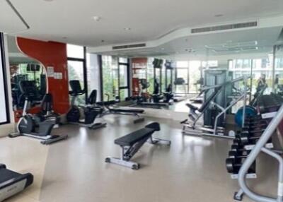 Well-equipped gym area with various exercise machines and weights
