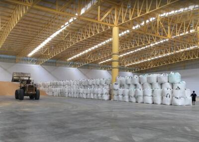 For Rent Ayutthaya Warehouse Phahon Yothin Bang Sai