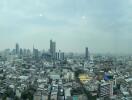 Panoramic view of a city with modern buildings and skyline