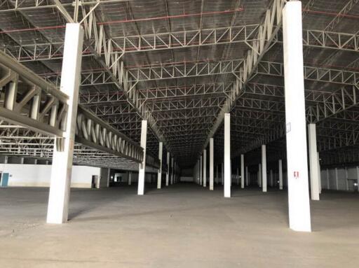 For Rent Pathum Thani Warehouse Phahonyothin Road Lam Luk Ka