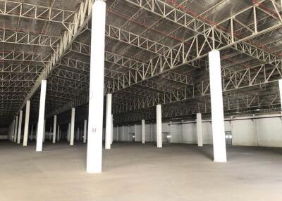 For Rent Pathum Thani Warehouse Phahonyothin Road Lam Luk Ka