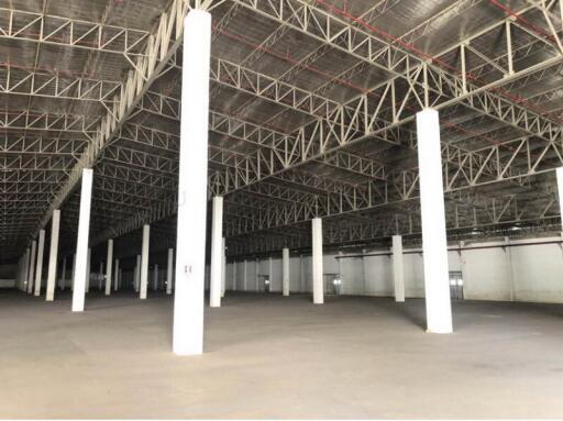 For Rent Pathum Thani Warehouse Phahonyothin Road Lam Luk Ka