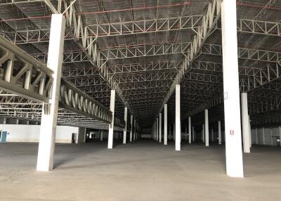 For Rent Pathum Thani Warehouse Phaholyothin Road Lam Luk Ka