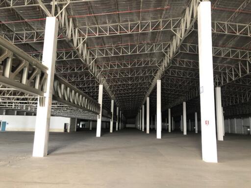 For Rent Pathum Thani Warehouse Phaholyothin Road Lam Luk Ka