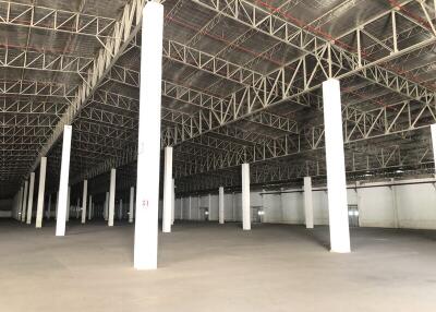 For Rent Pathum Thani Warehouse Phaholyothin Road Lam Luk Ka