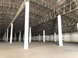 For Rent Pathum Thani Warehouse Phaholyothin Road Lam Luk Ka