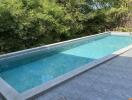 Outdoor swimming pool with surrounding greenery