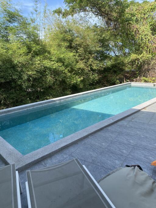 Outdoor swimming pool with surrounding greenery