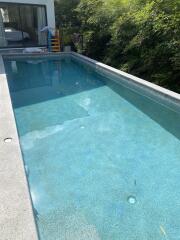 Outdoor swimming pool with surrounding greenery