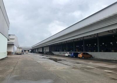 For Rent Samut Prakan Warehouse Tamru-Bang Phli Road Bang Phli