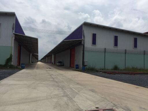 For Rent Pathum Thani Warehouse Lam Luk Ka