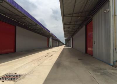 For Rent Pathum Thani Warehouse Lam Luk Ka