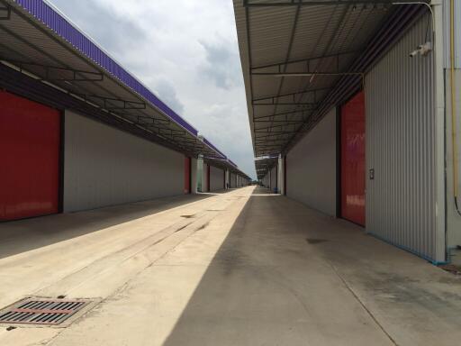 For Rent Pathum Thani Warehouse Lam Luk Ka