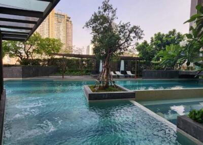 Swimming pool with surrounding greenery