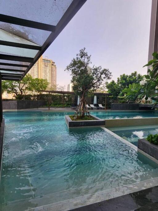 Swimming pool with surrounding greenery