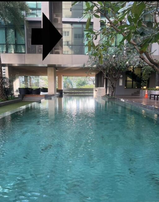 Outdoor swimming pool area with modern building and surrounding greenery