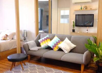 Modern living room with grey sofa and colorful pillows