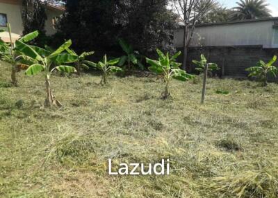 Small land in choengmon - Great investment