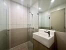 Modern bathroom with walk-in shower and sink