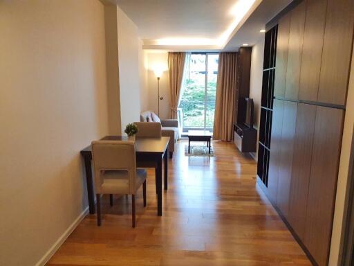 Modern living room with hardwood floor and ample natural light