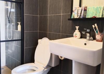 Modern bathroom with shower and sink