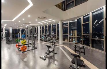 Modern gym with large windows and exercise equipment