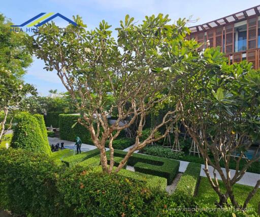 Exterior view of a building with garden