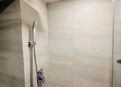 Modern Bathroom with Rainfall Showerhead