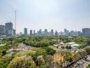 Panoramic view of a city with skyscrapers and a large park