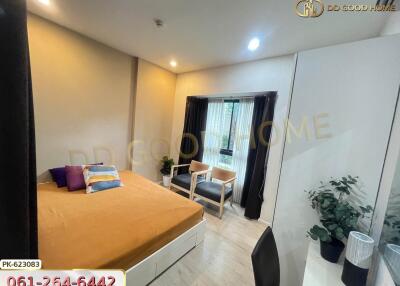 Cozy bedroom with a large orange bed, two chairs by the window, study desk, and potted plant