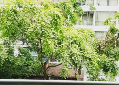 View of building and trees from a balcony