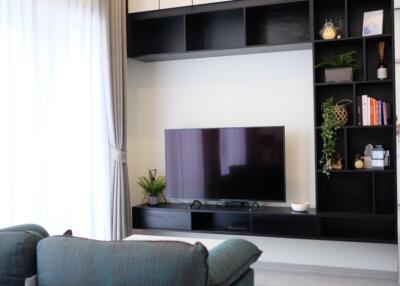 Modern living room with TV and built-in shelving