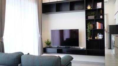 Modern living room with TV and built-in shelving