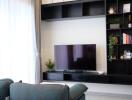 Modern living room with TV and built-in shelving