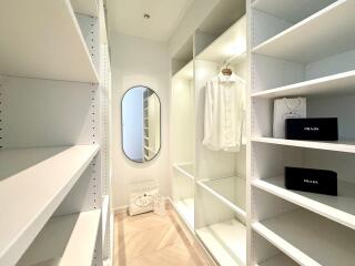 Modern walk-in closet with shelving and hanging space