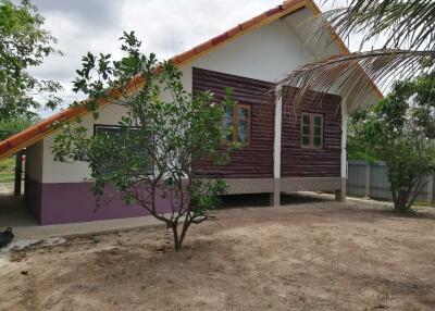 Front view of a house with a sloped roof and surrounded by plants