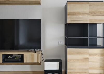 Modern living room with TV and storage units