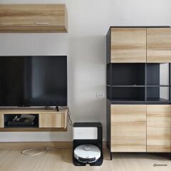 Modern living room with TV and storage units