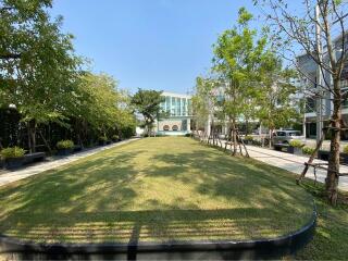 Lush Green Garden Area