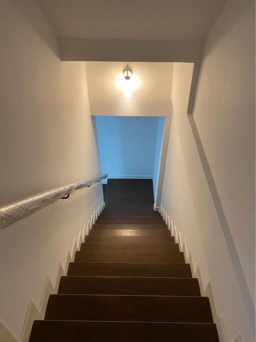 Staircase with wooden steps and handrail