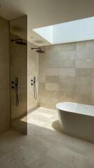 Modern bathroom with walk-in shower and bathtub