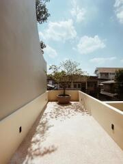 Spacious balcony with potted tree and neighborhood view